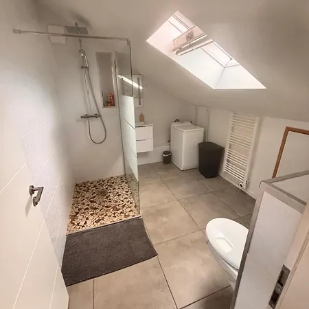 Lejlighed Wood Loft By Mulhouse